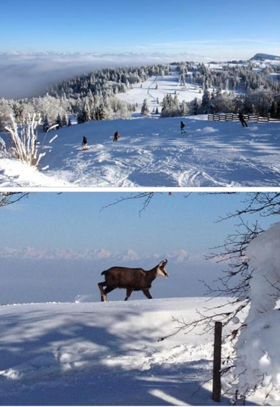 Le Chamois Mont D'Or Lägenhet Métabief Exteriör bild